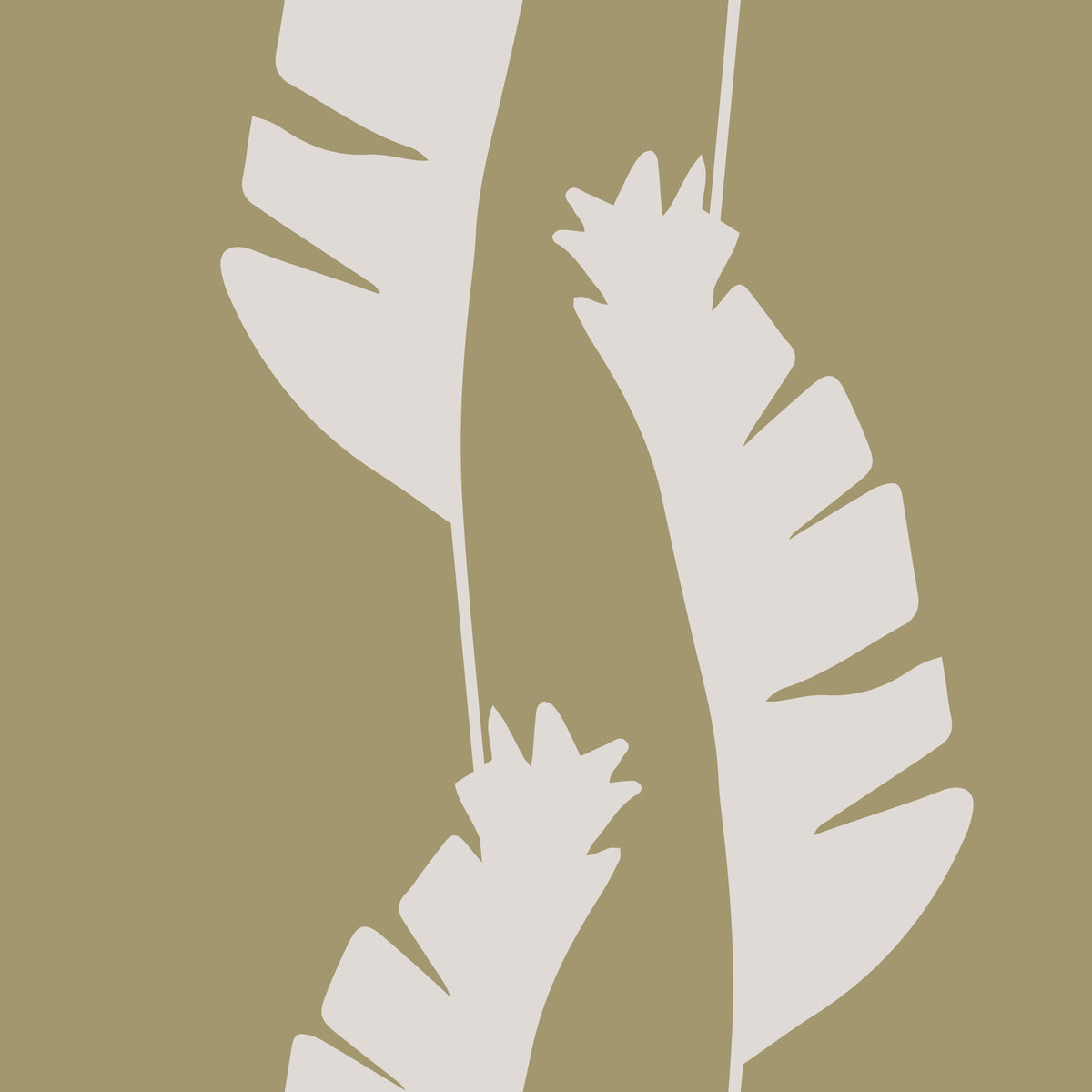 Olive Green Banana Leaf Wallpaper Boho Coastal Wallpaper⁠ in your room — zoomed