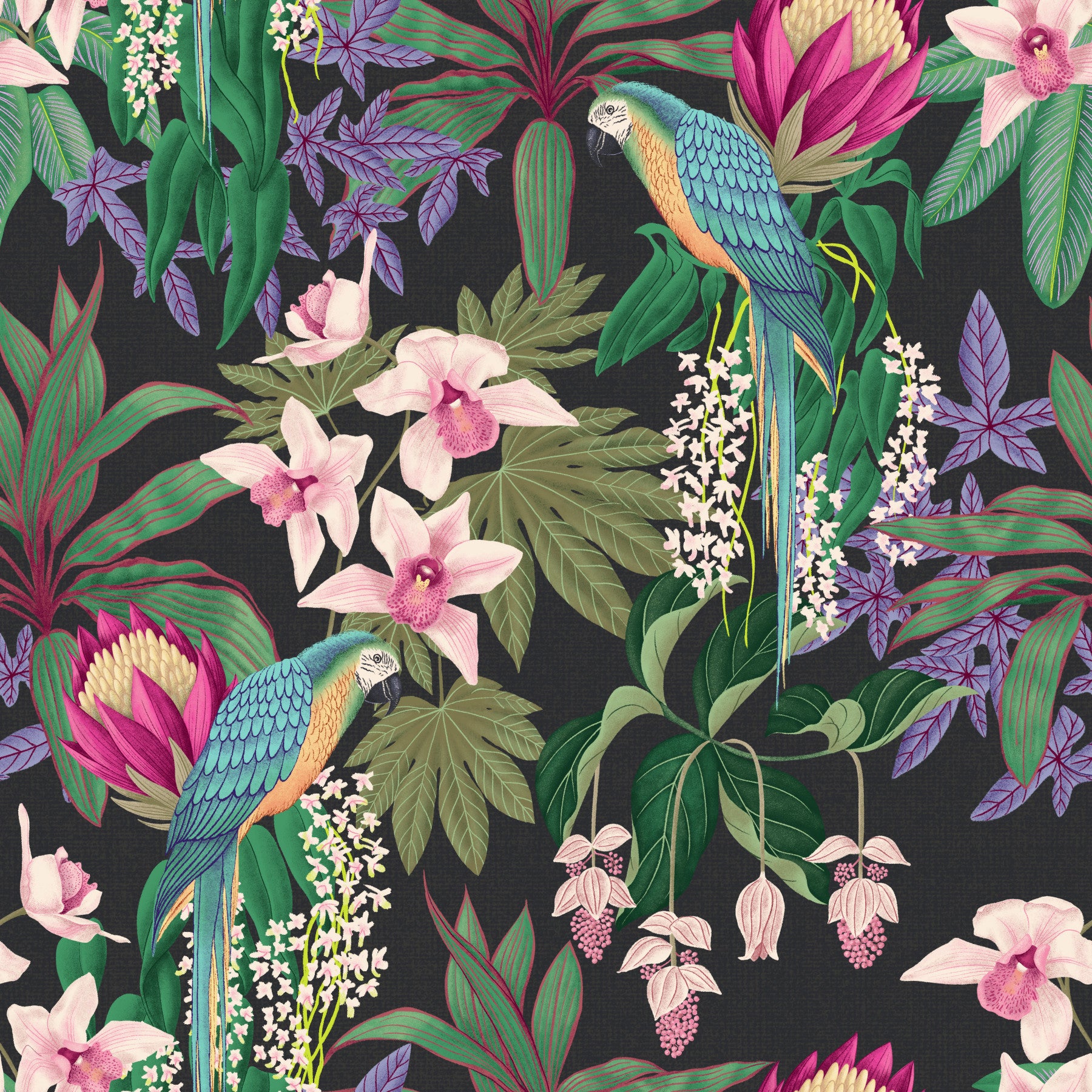 Tropical Macaw & Orchid Bloom Wallpaper⁠