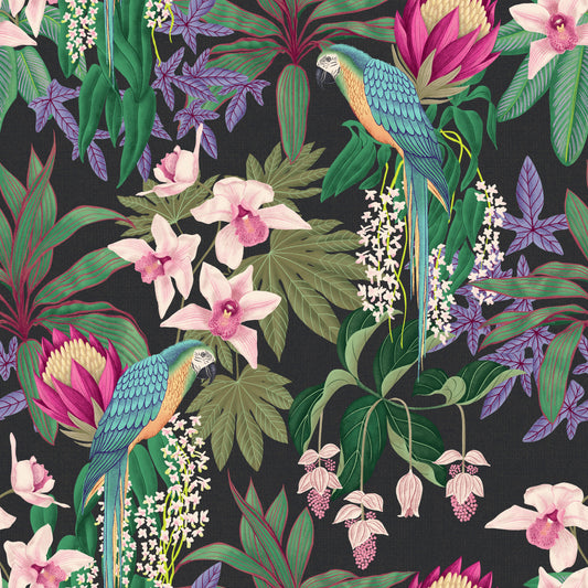 Tropical Macaw & Orchid Bloom Wallpaper⁠