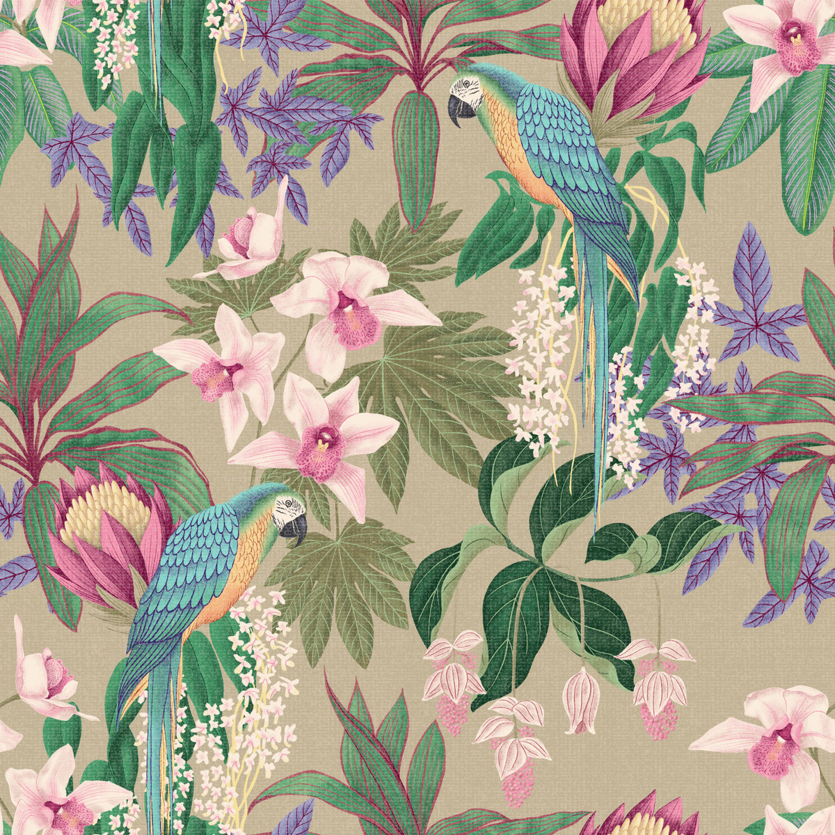 Tropical Macaw & Orchid Bloom  Wallpaper⁠ in your room