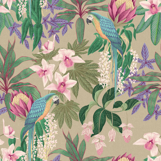 Tropical Macaw & Orchid Bloom  Wallpaper⁠