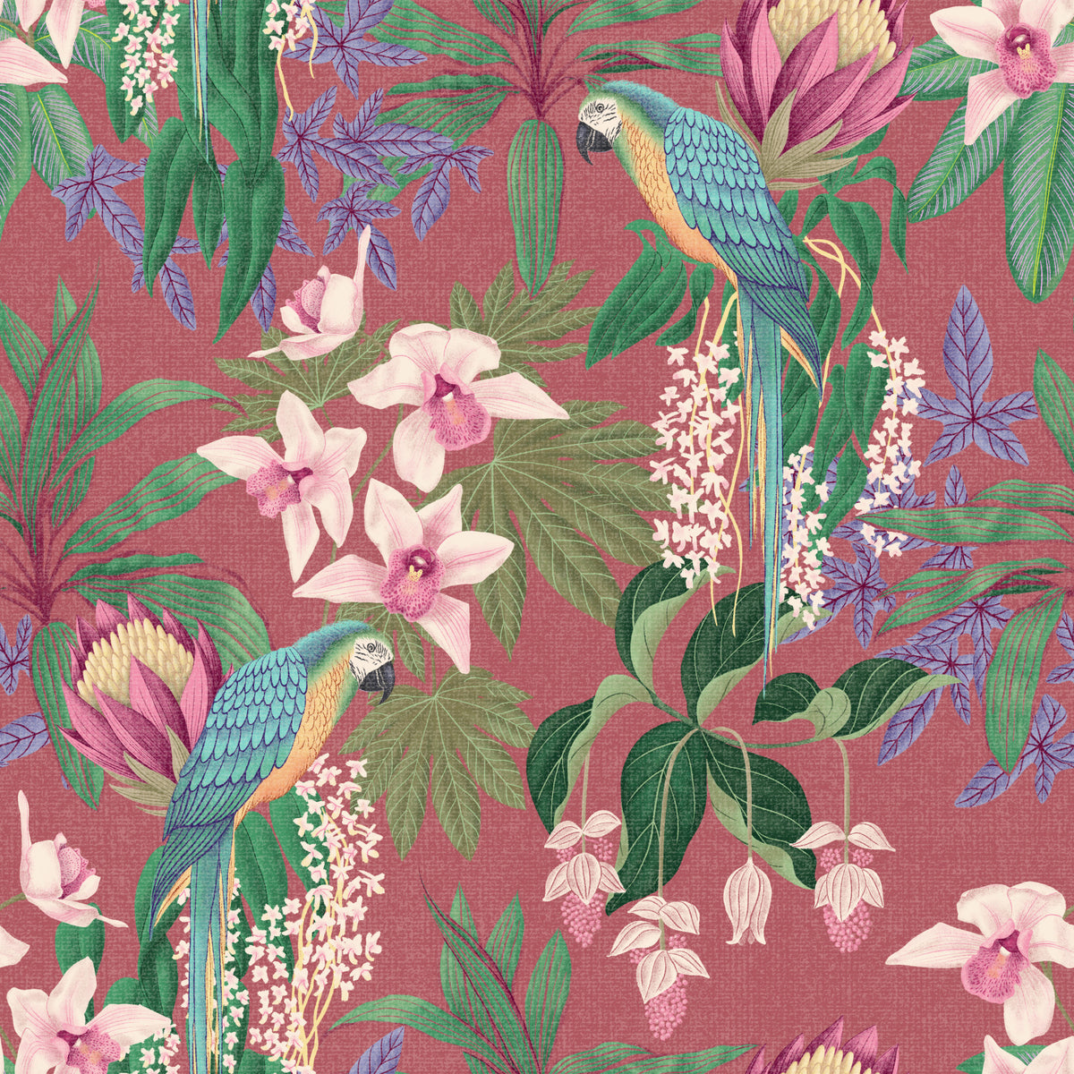Tropical Macaw & Orchid Bloom Wallpaper⁠ Wallpaper⁠ in your room — zoomed