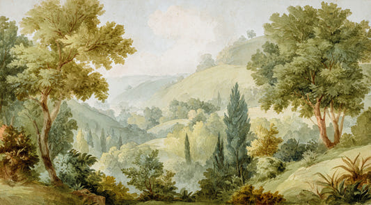 Serene Valley Vista Wall Mural