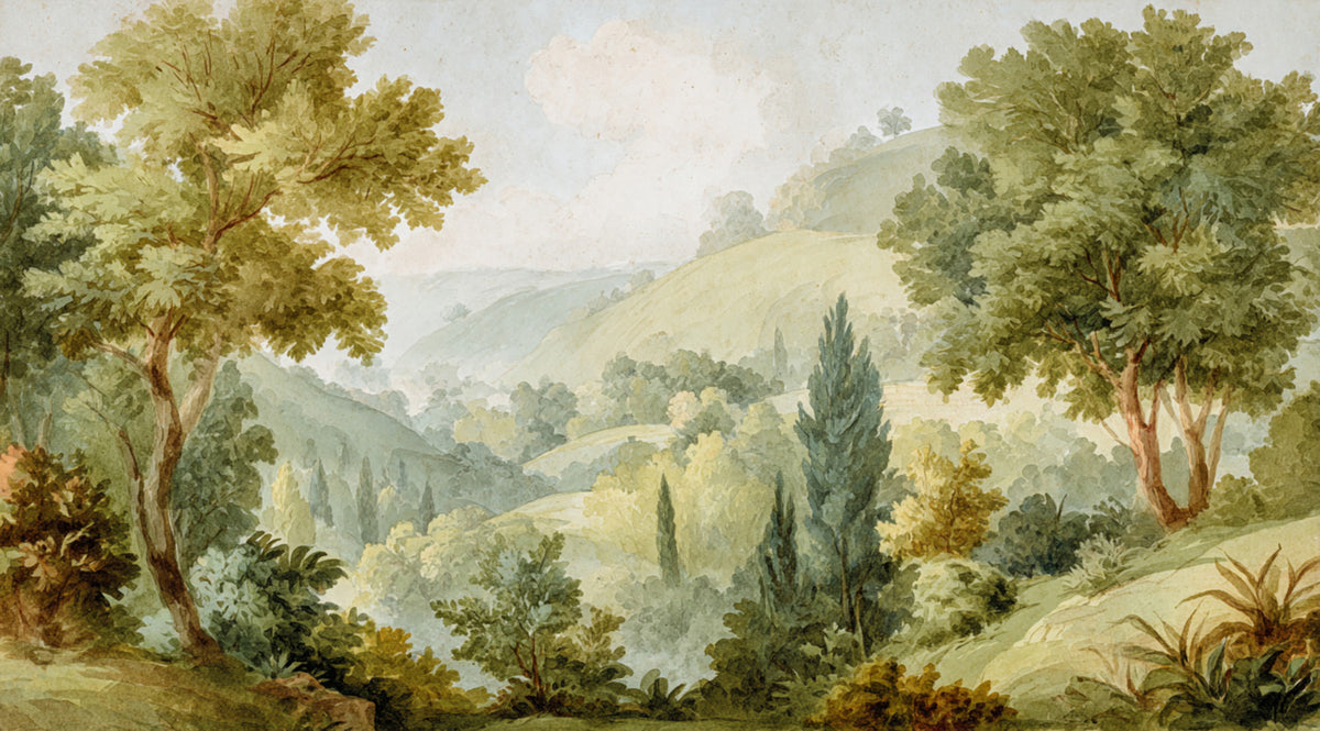 Serene Valley Vista Wall Mural in your room — zoomed