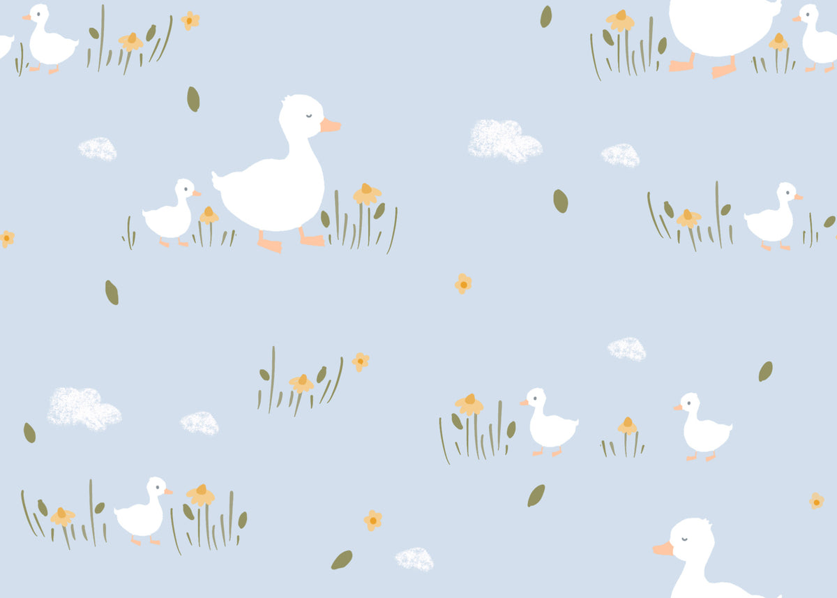 Baby Ducklings Wallpaper⁠ in your room