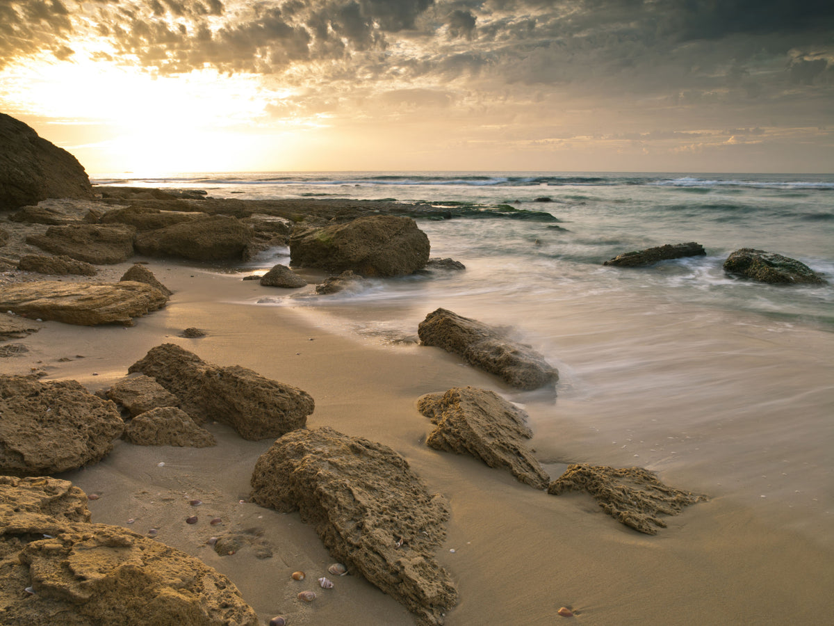 Golden Quiet Shore Wall Mural in your room