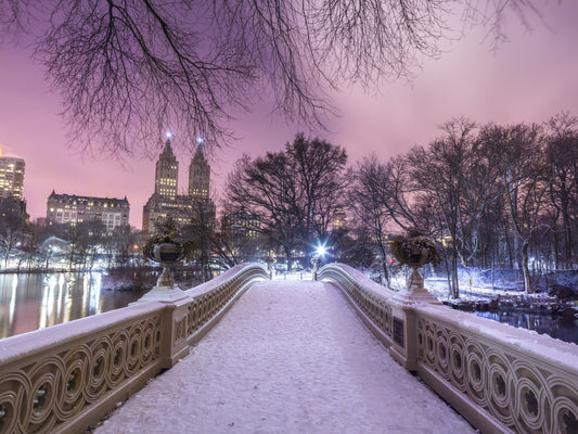 Bow Bridge Winter: Central Park's Pink Dusk Wall Mural