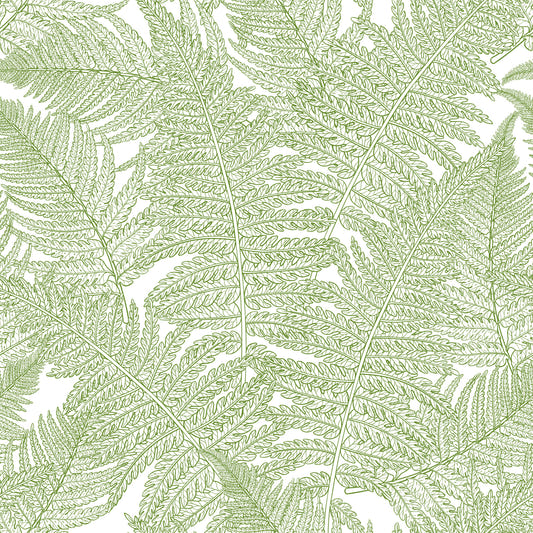 Serene wallscapes: Fern Wallpaper⁠