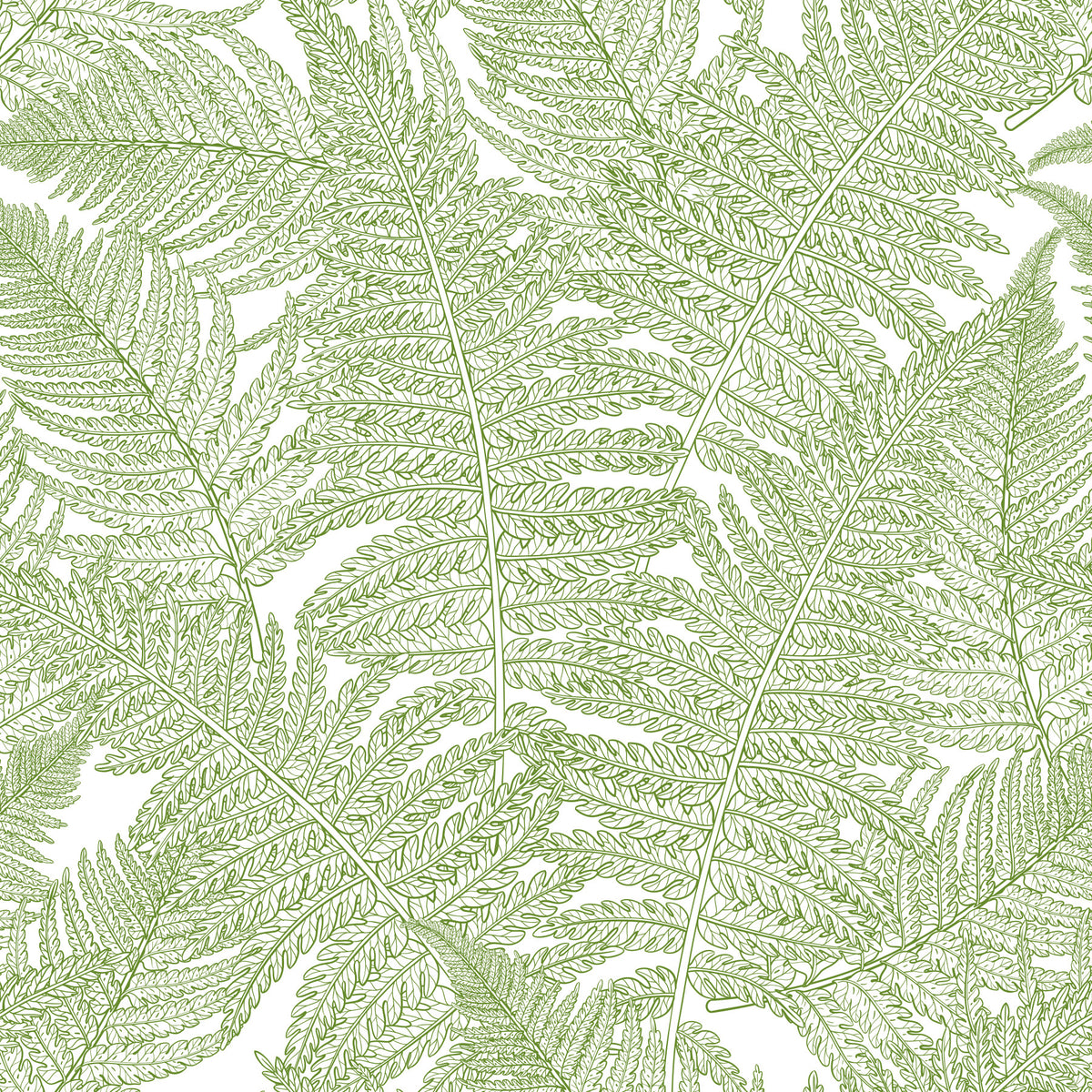 Serene wallscapes: Fern Wallpaper⁠ in your room