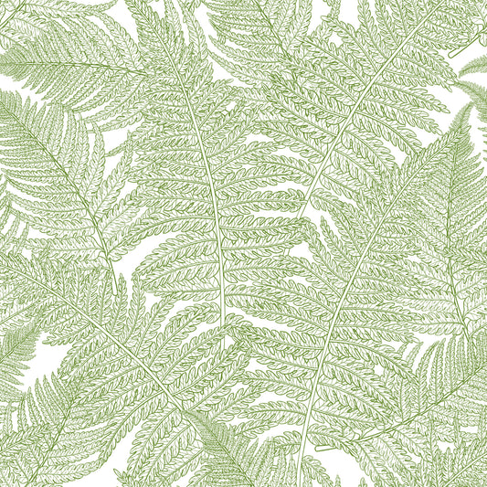 Serene wallscapes: Fern Wallpaper⁠