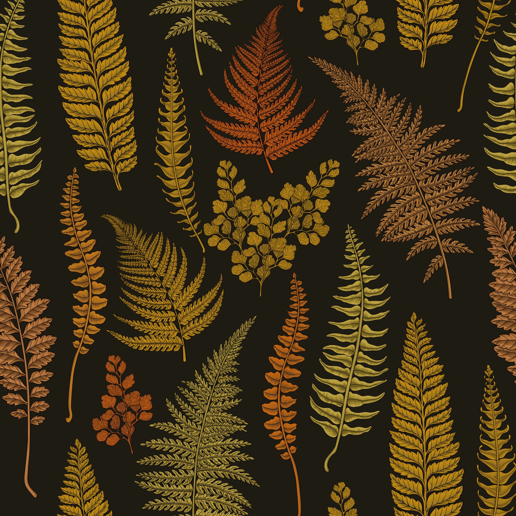 Ferns Wallpaper⁠