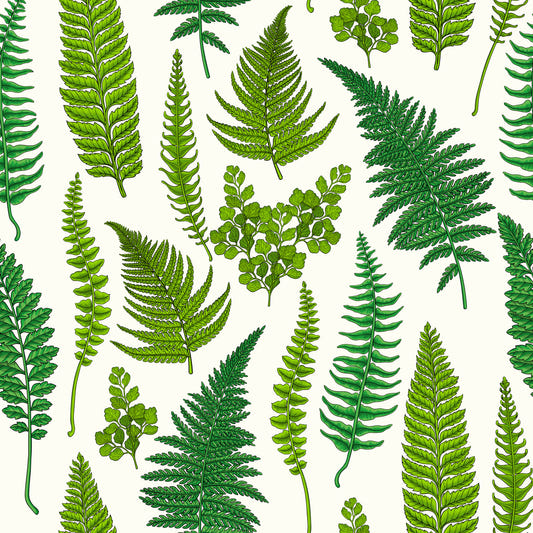 Ferns on natural white Wallpaper⁠