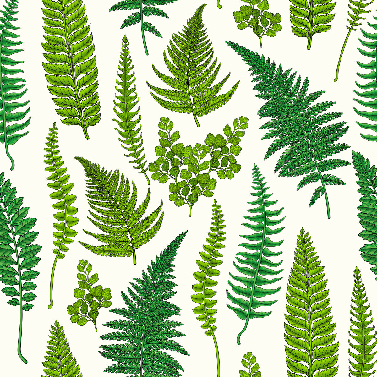 Ferns on natural white Wallpaper⁠ in your room — zoomed