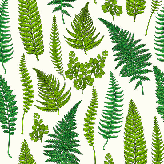 Ferns on natural white Wallpaper⁠