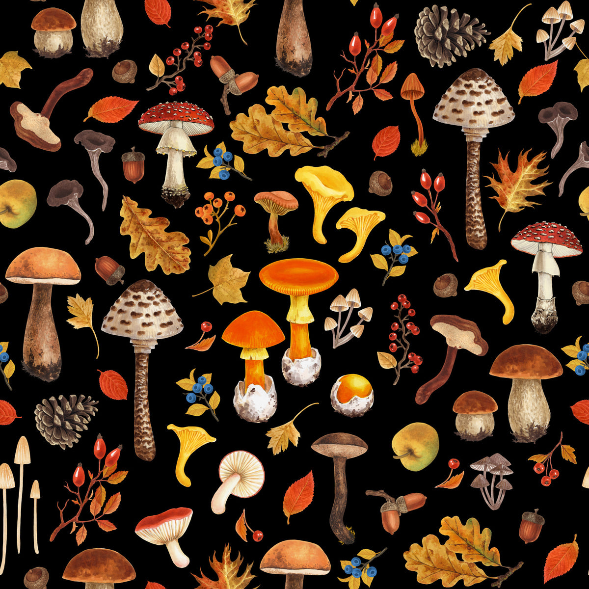 Wild mushrooms on black Wallpaper⁠ in your room — zoomed