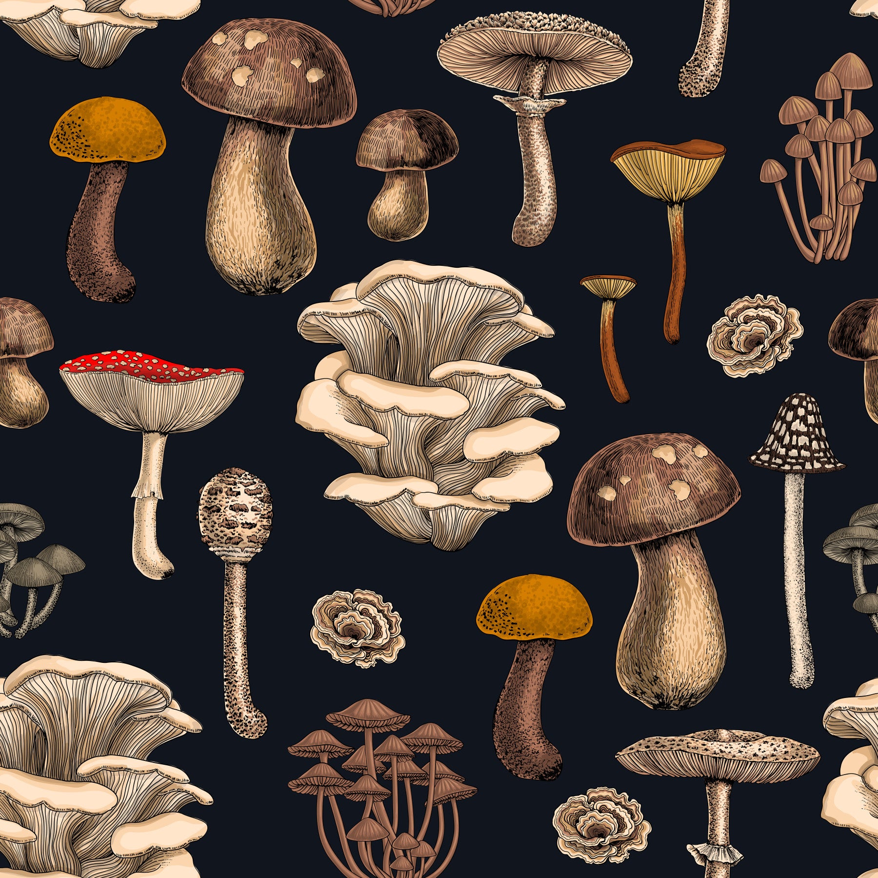 Wild Mushrooms  on graphite black Wallpaper⁠