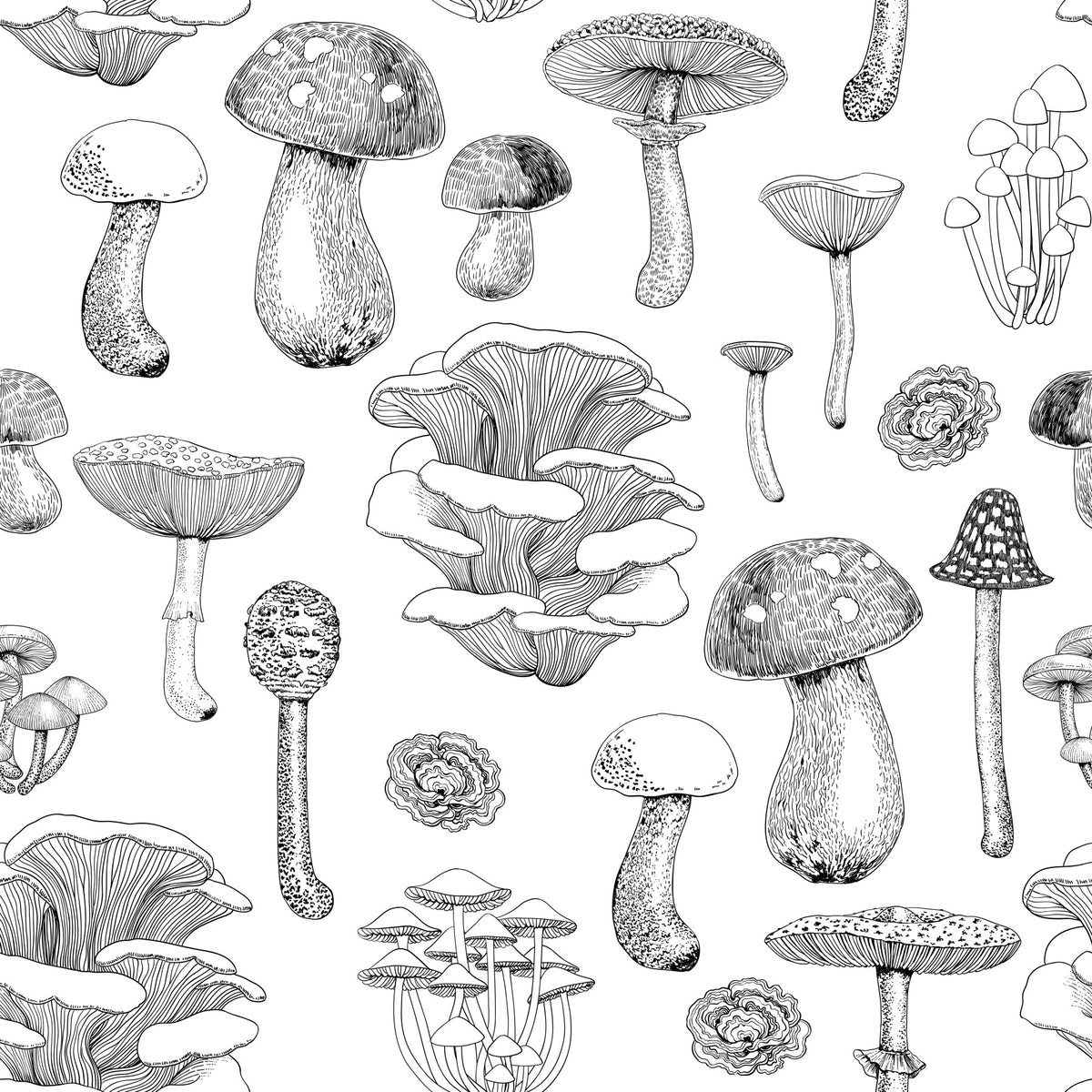 Wild Mushrooms  in black and white Wallpaper⁠ in your room — zoomed