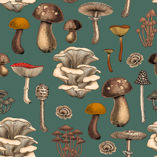Wild Mushrooms  on pine green Wallpaper⁠