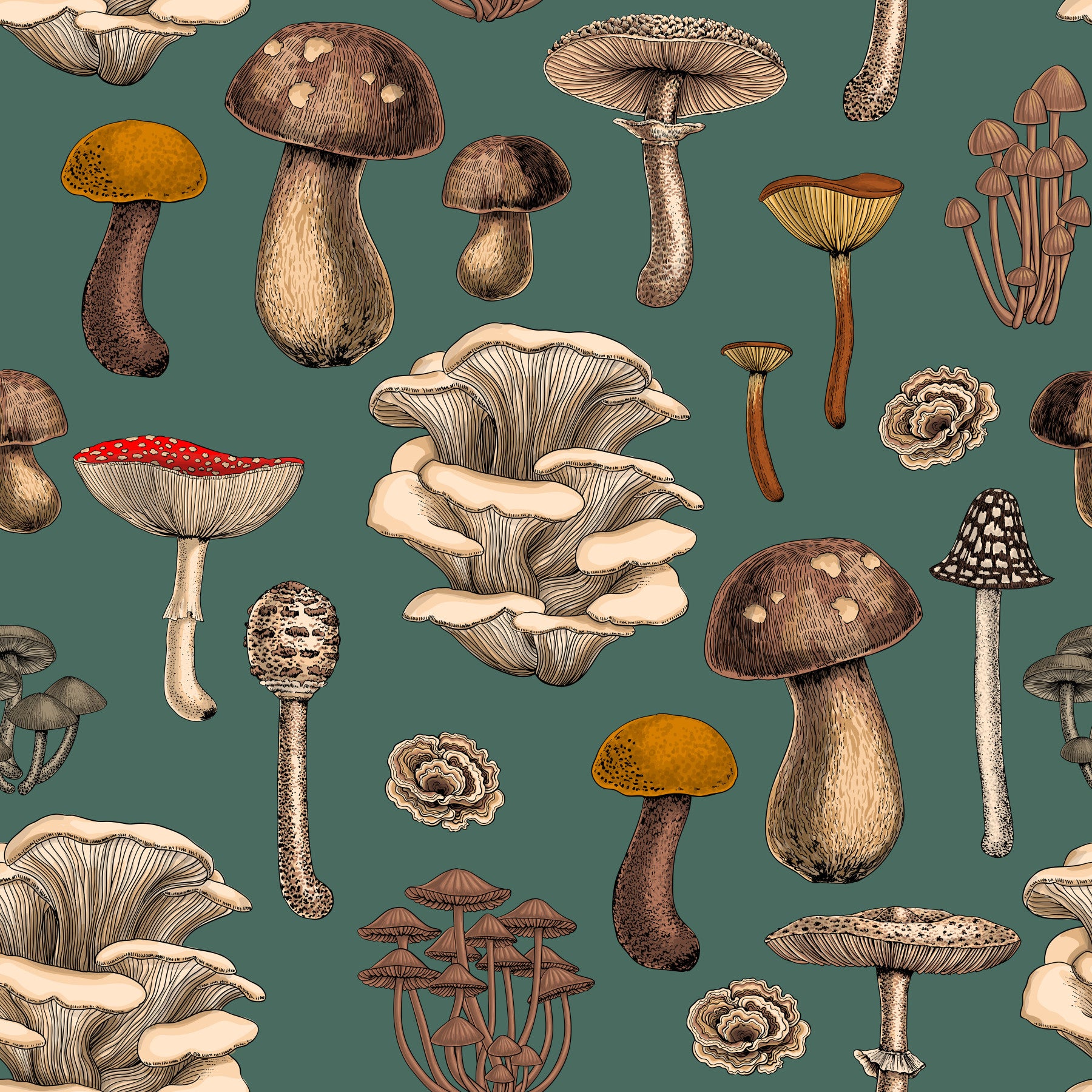 Wild Mushrooms  on pine green Wallpaper⁠