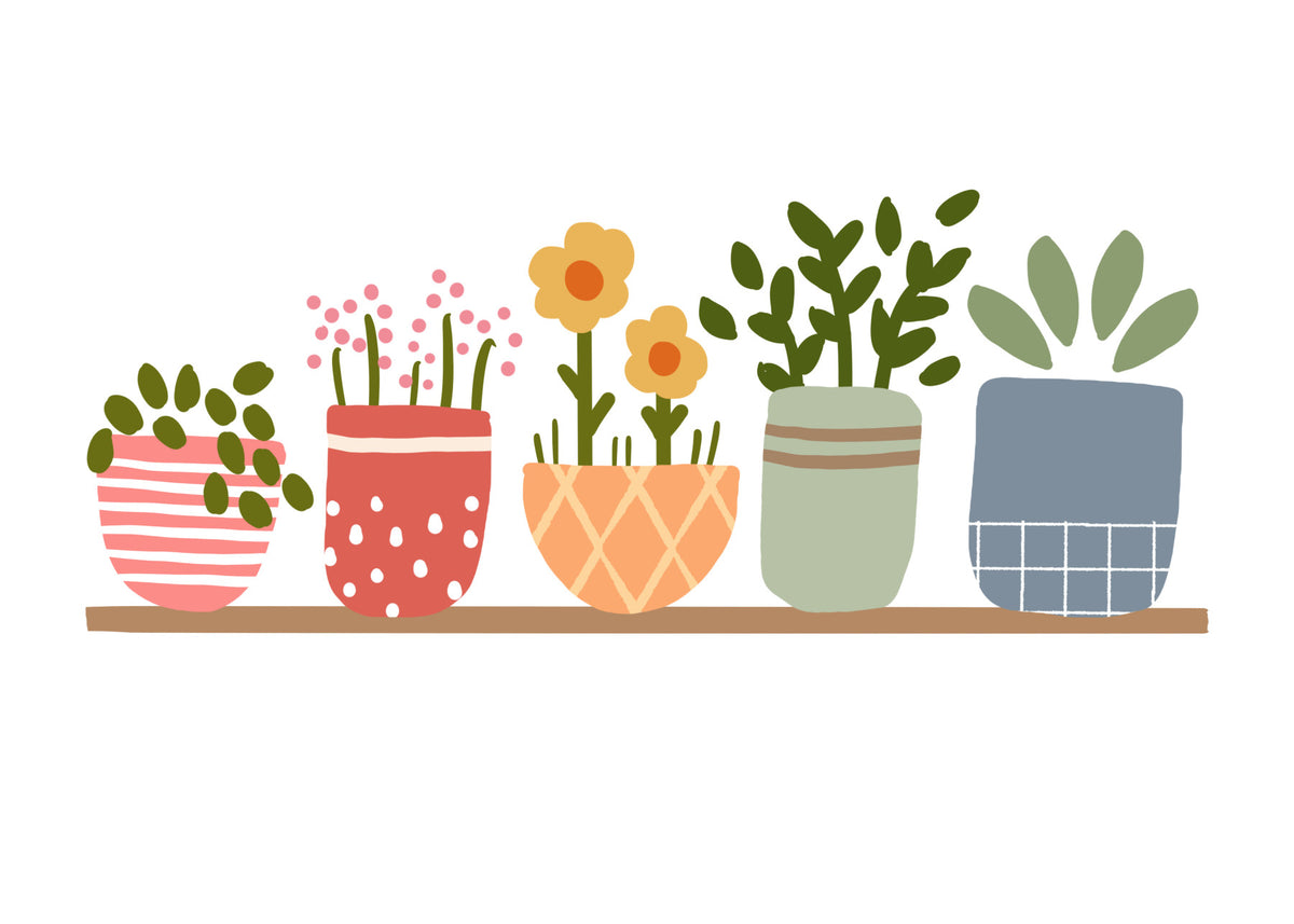 Garden Shelves Wall Mural in your room
