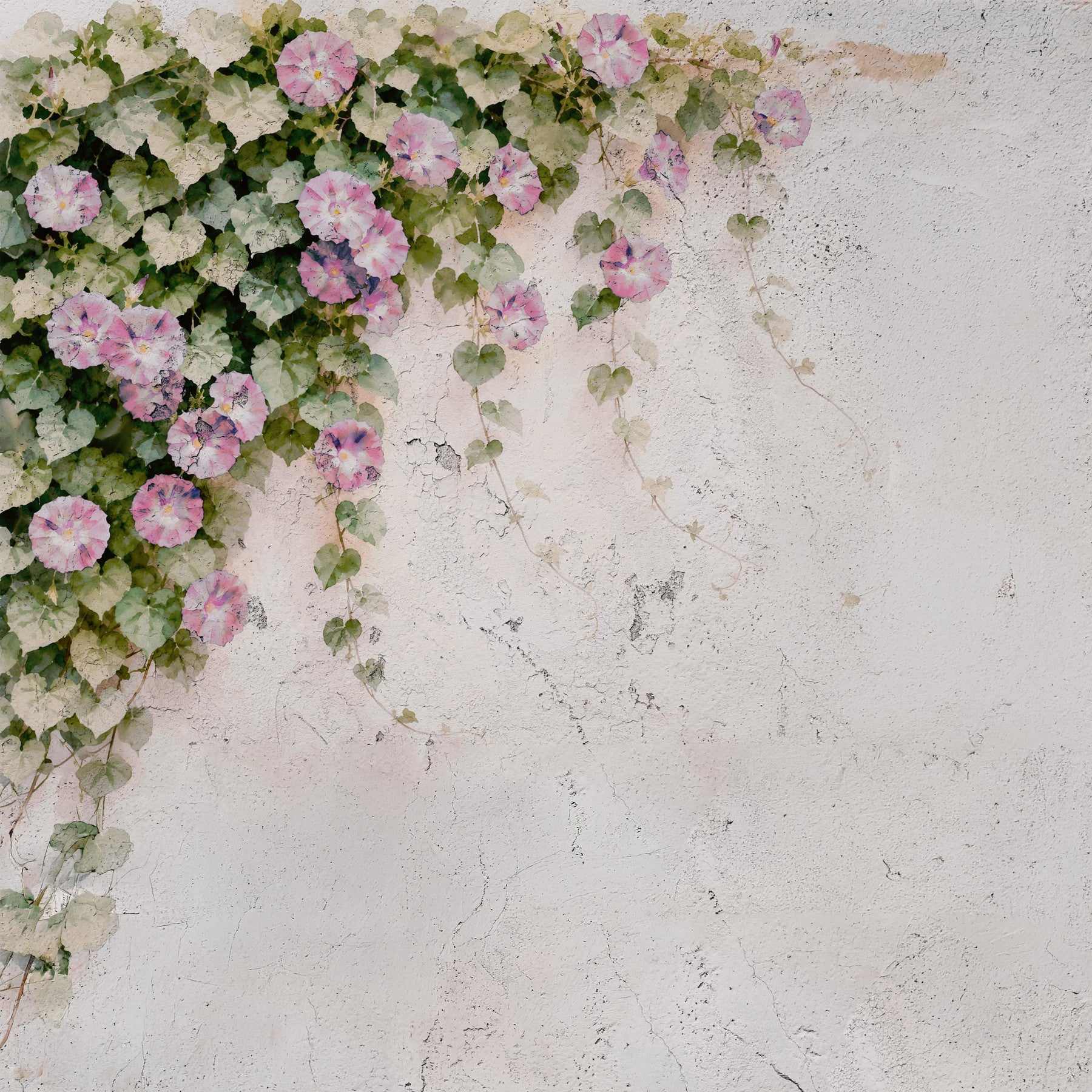 Blush Vines, Rustic Charm Wall Mural