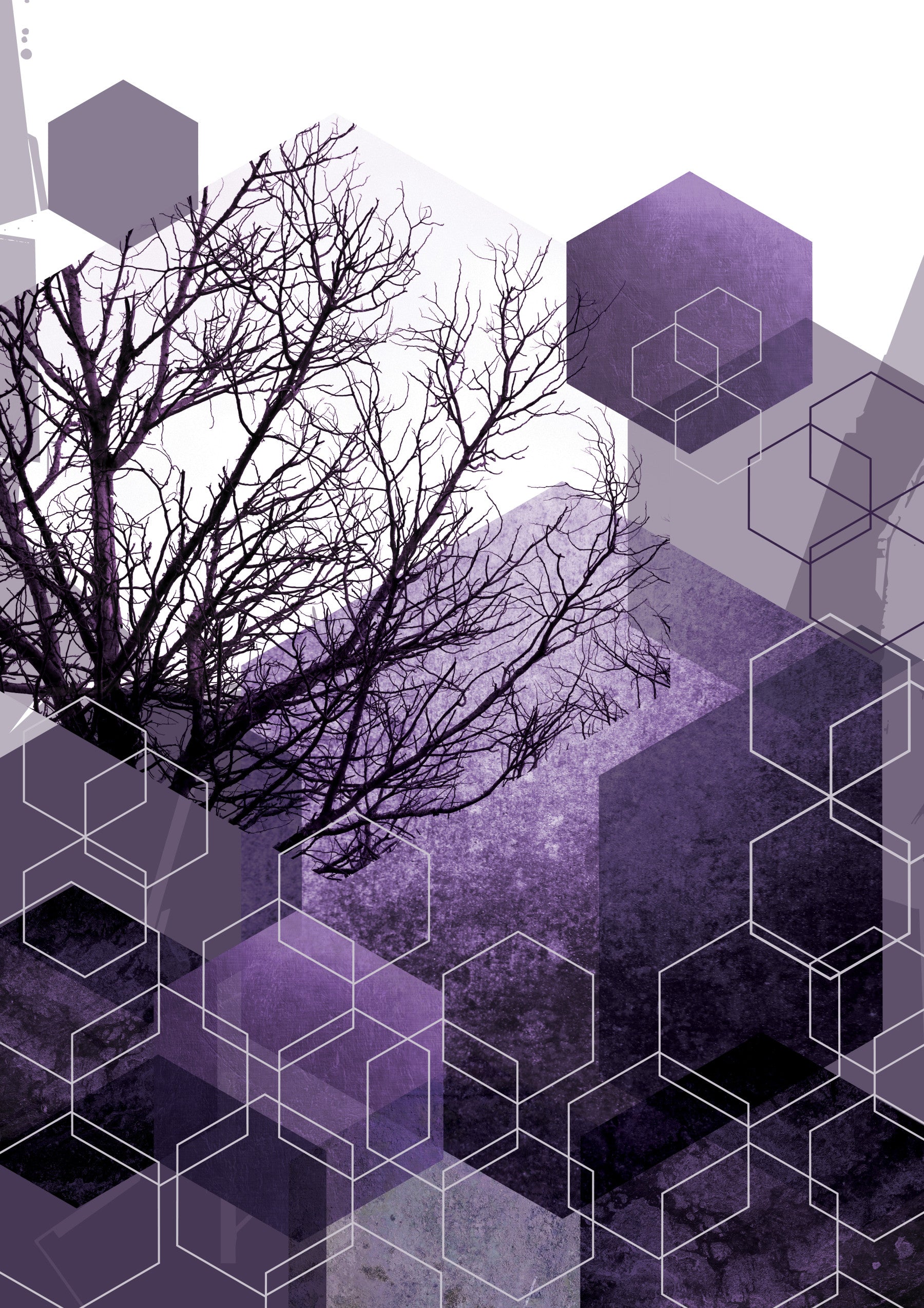Shadowed Geometry Wall Mural