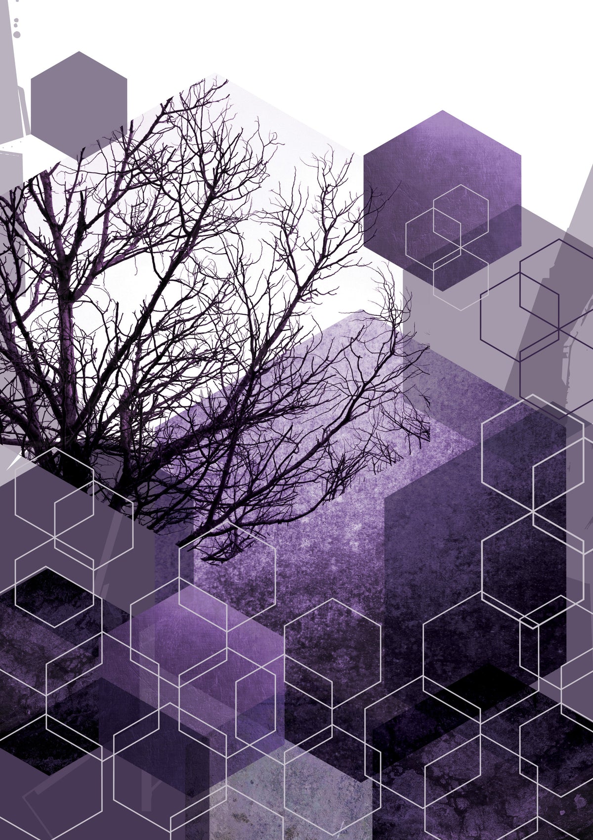 Shadowed Geometry Wall Mural in your room — zoomed