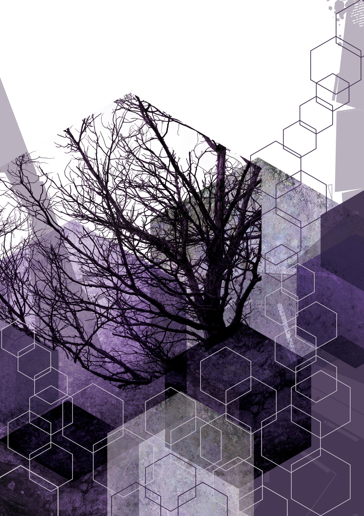 Geometric Arbor Veil Wall Mural in your room