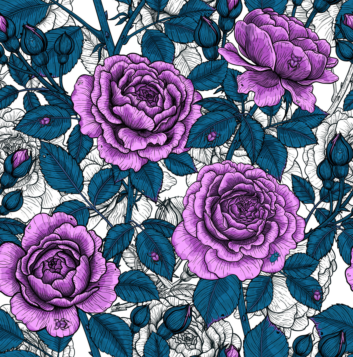 Violet rose garden Wallpaper⁠