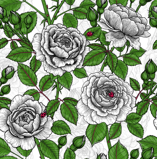 White rose garden Wallpaper⁠