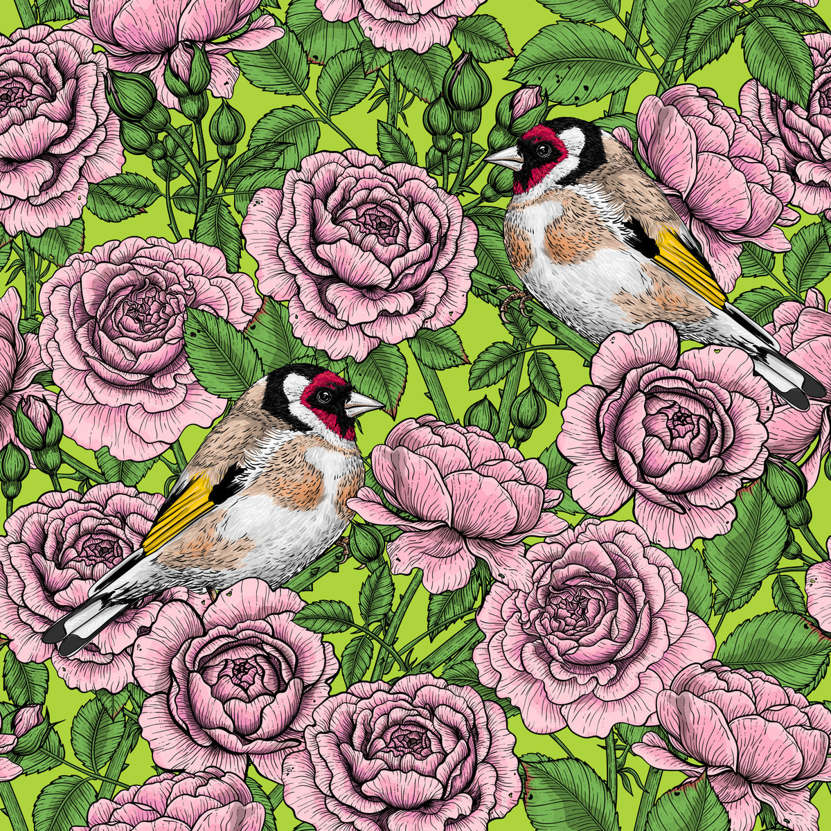 Goldfinch & Rose Garden Delight Wallpaper⁠ in your room