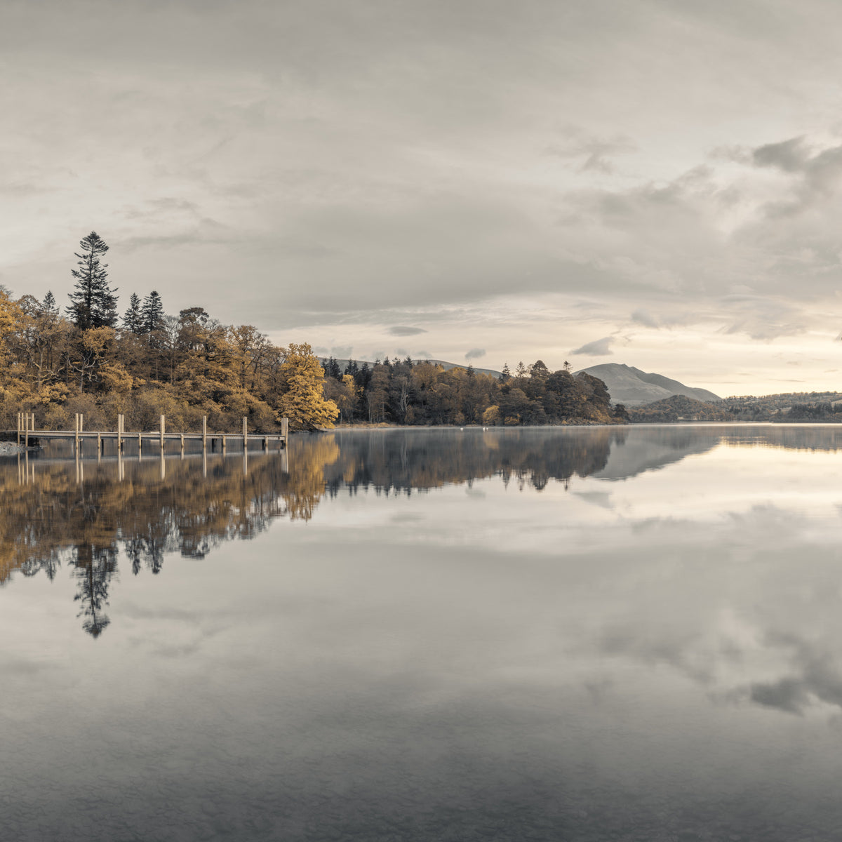 Golden Lakeside Tranquility Wall Mural in your room — zoomed