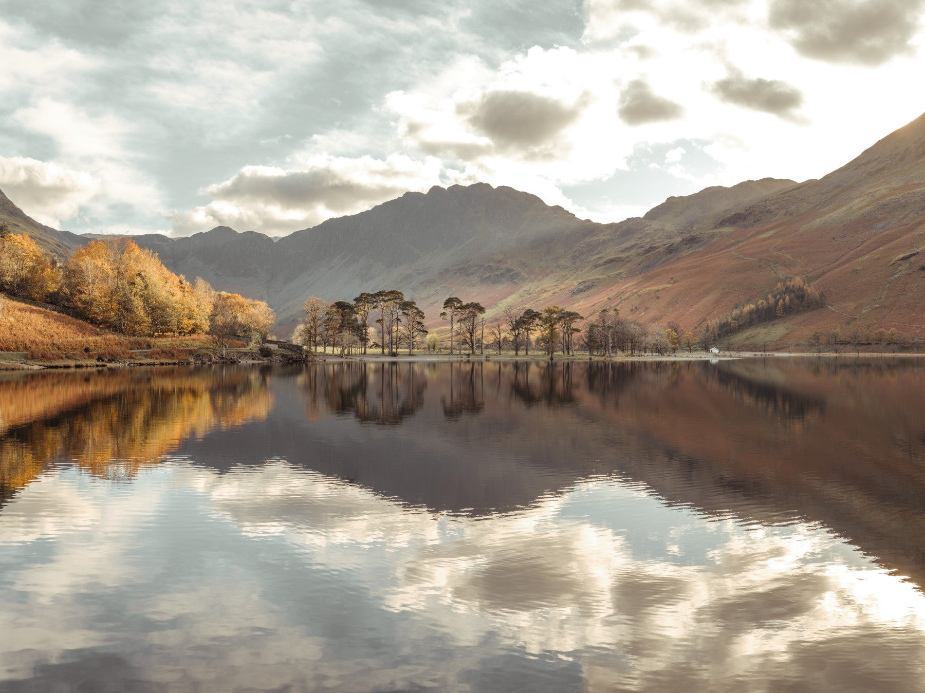 Autumn's Golden Reflection Wall Mural