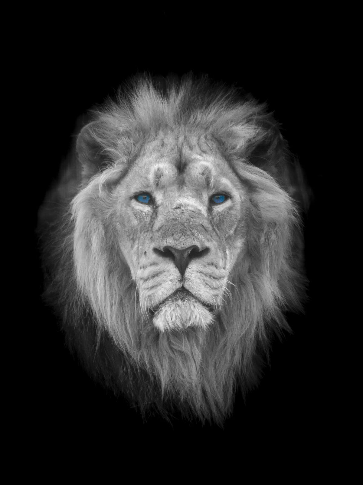 Azure Eye King Wall Mural in your room — zoomed
