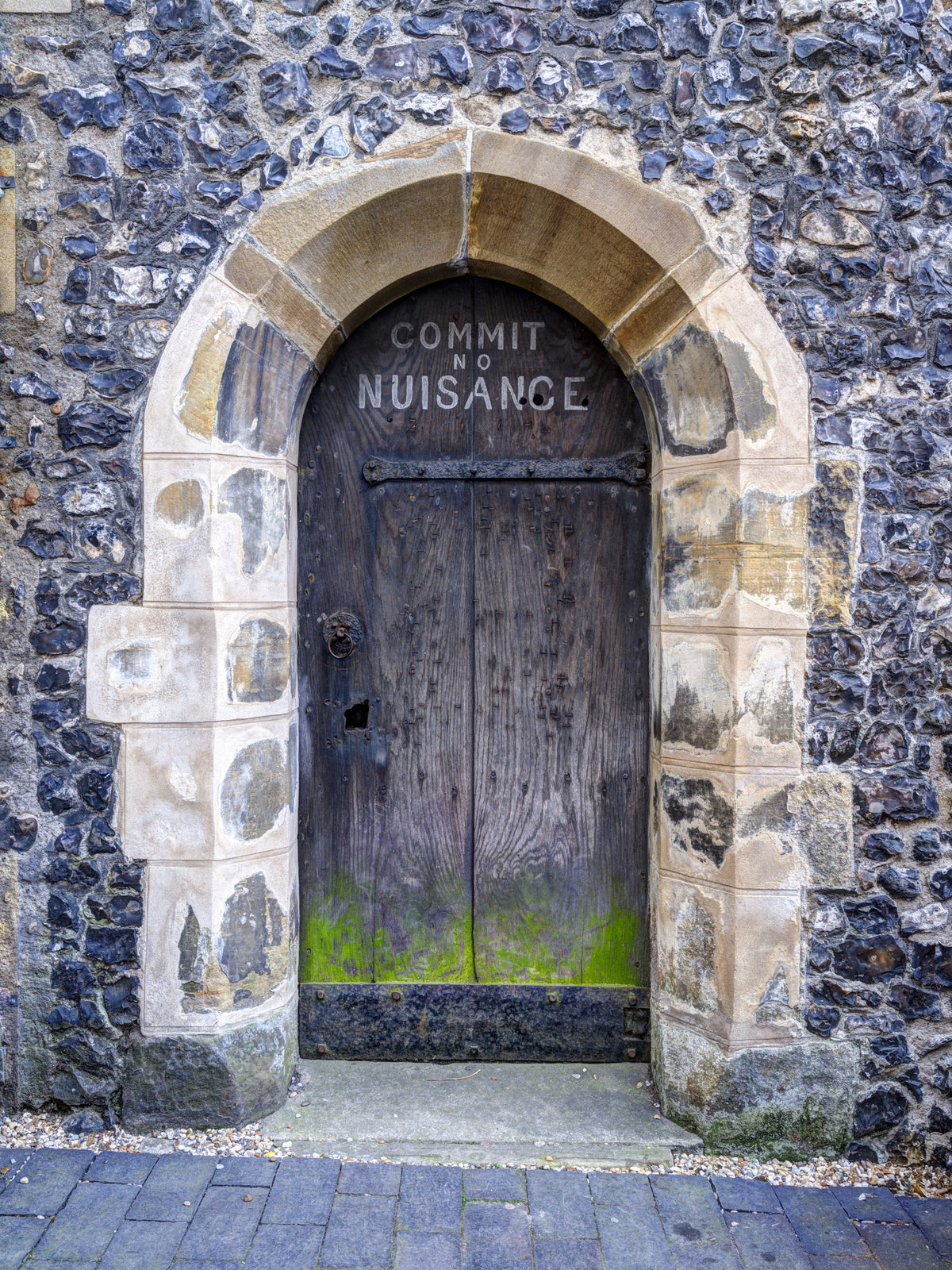 Arched Entry: Commit No Nuisance Wall Mural in your room — zoomed
