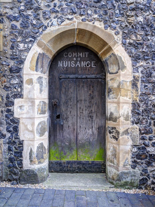 Arched Entry: Commit No Nuisance Wall Mural