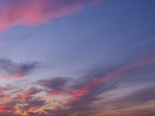 Twilight Bloom Sky Wall Mural