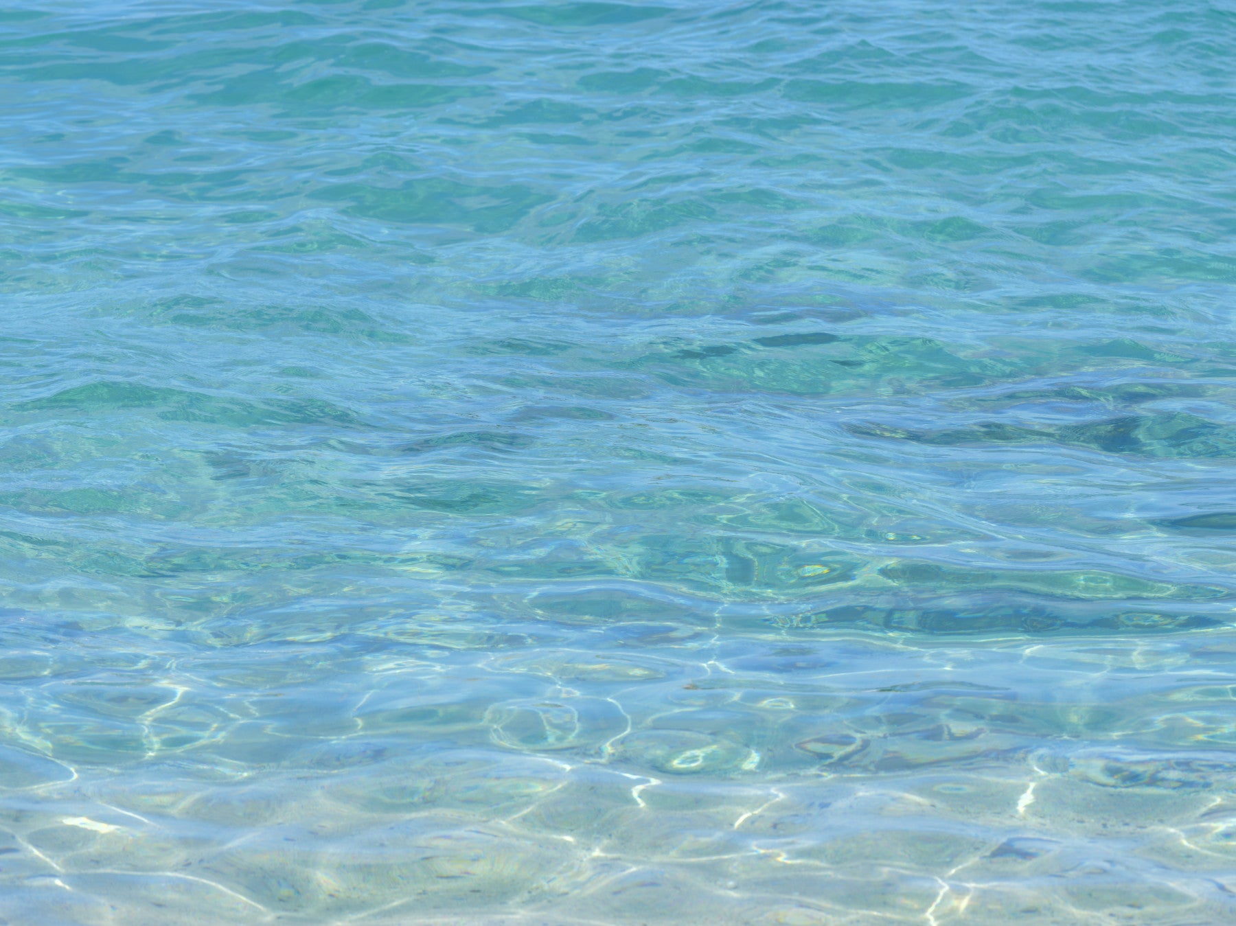 Aqua Serenity Wall Mural