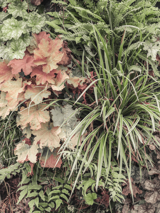 Muted Garden Layers Wall Mural