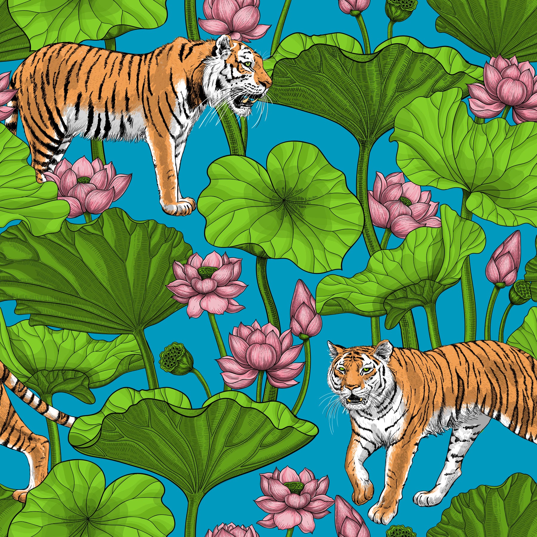 Tigers in the lotus pond Wallpaper⁠