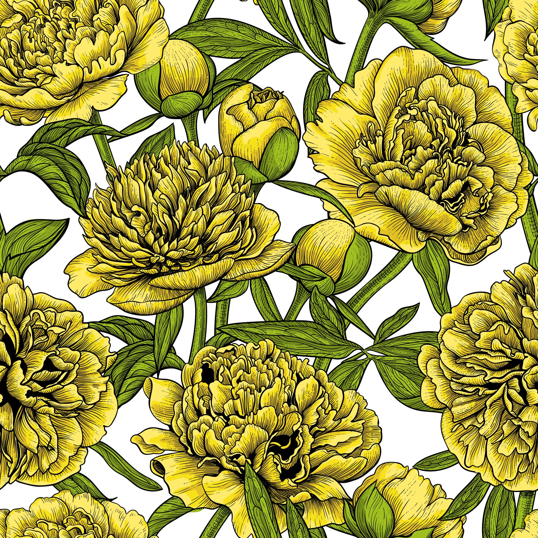 Golden Peony Blossom Wallpaper