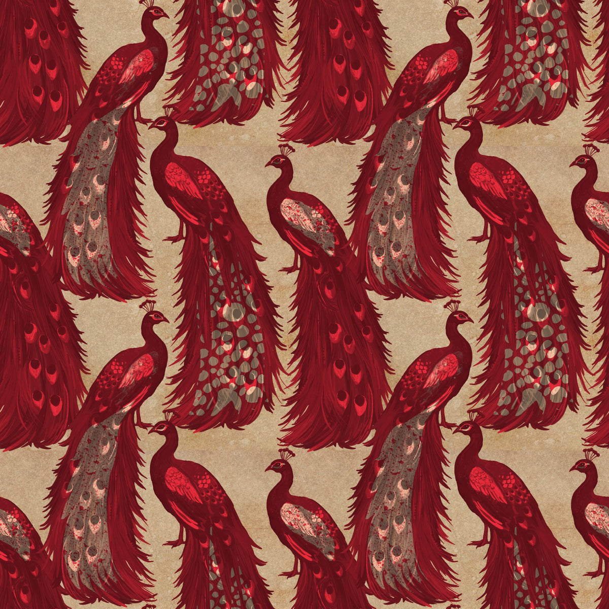 Crimson Elegance Peacock Wallpaper in your room