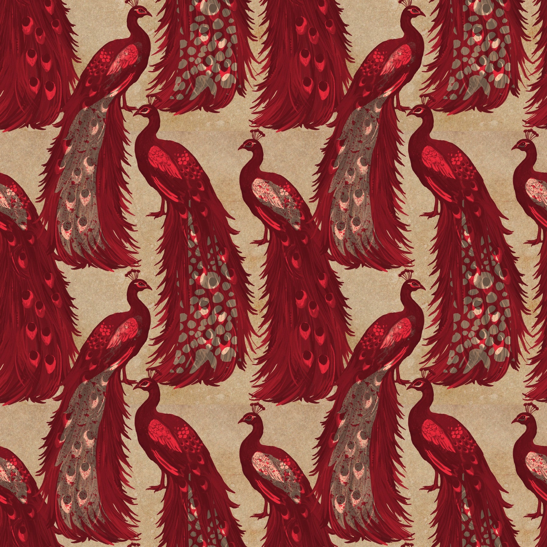 Crimson Elegance Peacock Wallpaper