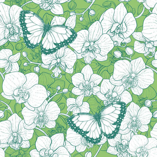 Botanical Orchid Garden with Butterflies 2 Wallpaper⁠