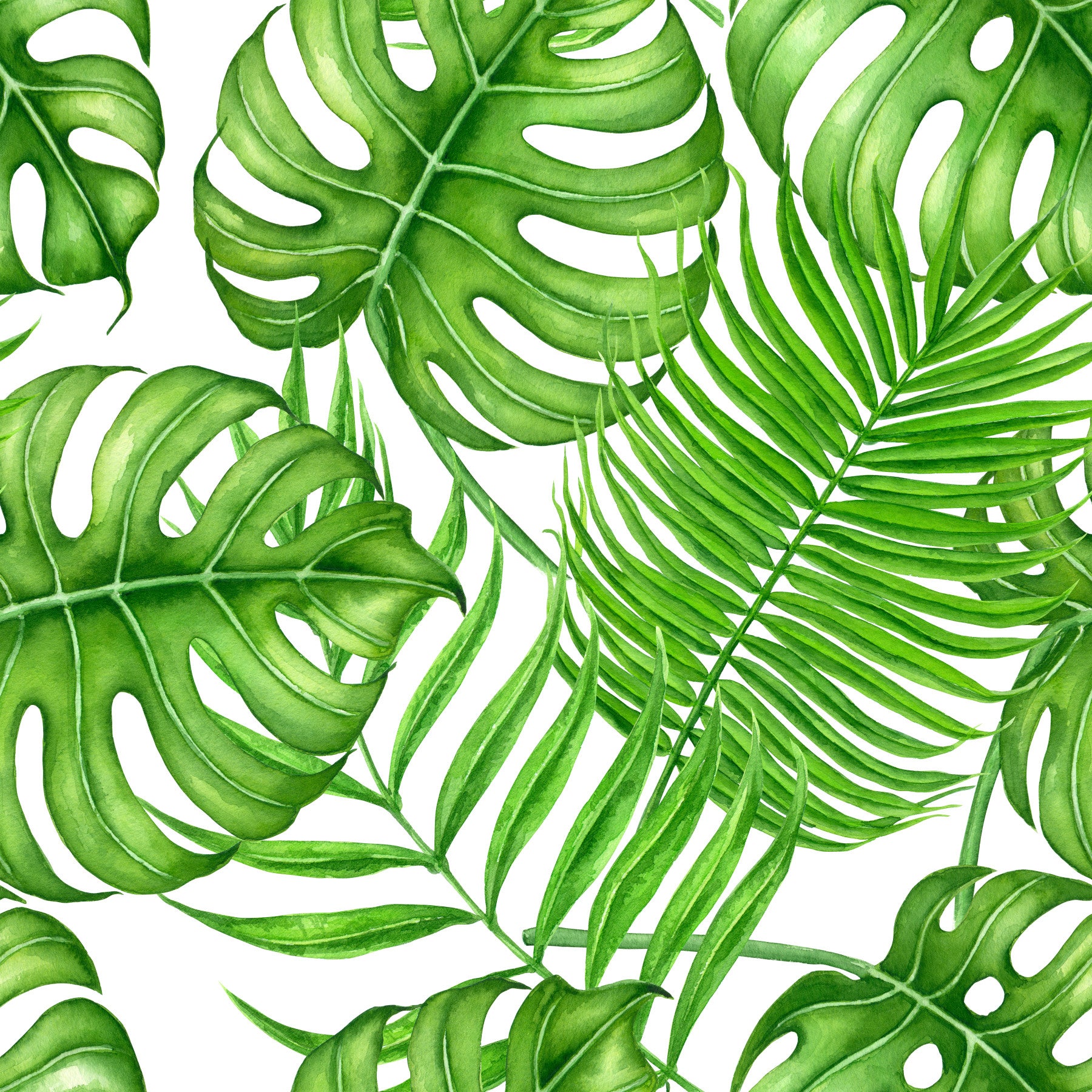 Tropical leaves Wallpaper⁠