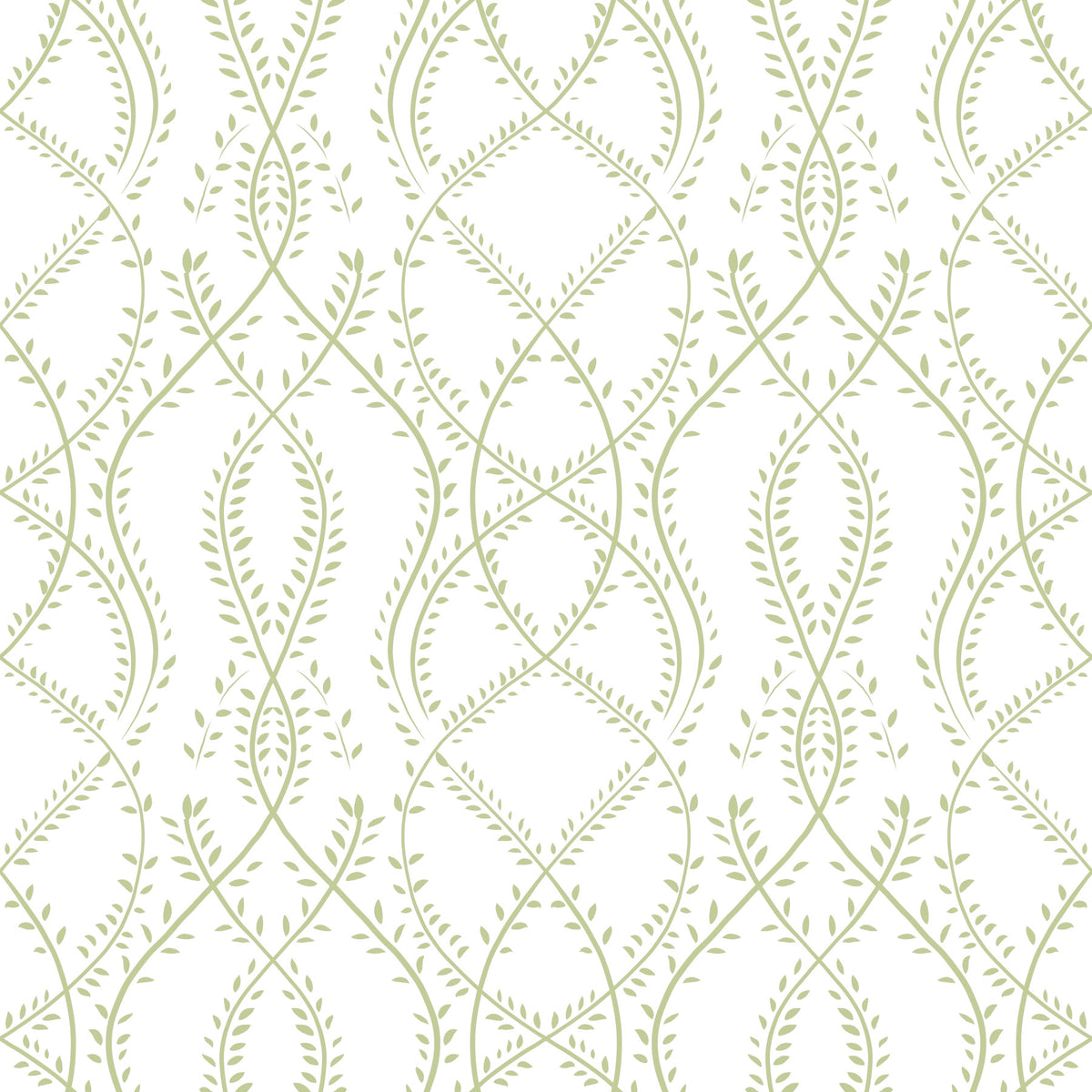 Sage Green Intertwined Botanical Vines Wallpaper⁠ in your room