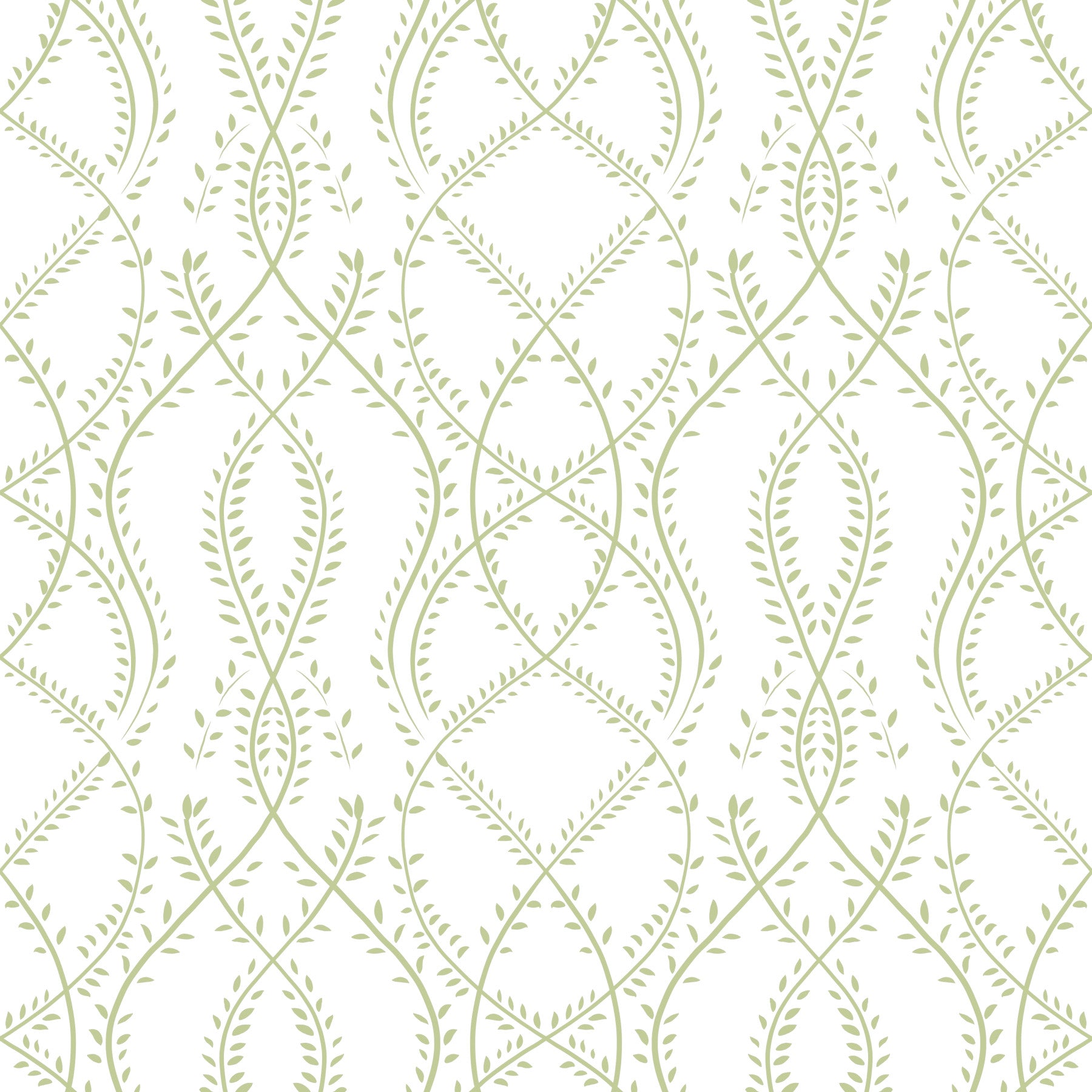 Sage Green Botanical Vine Trellis Wallpaper Wallpaper⁠