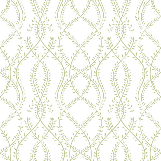 Sage Green Botanical Vine Trellis Wallpaper Wallpaper⁠