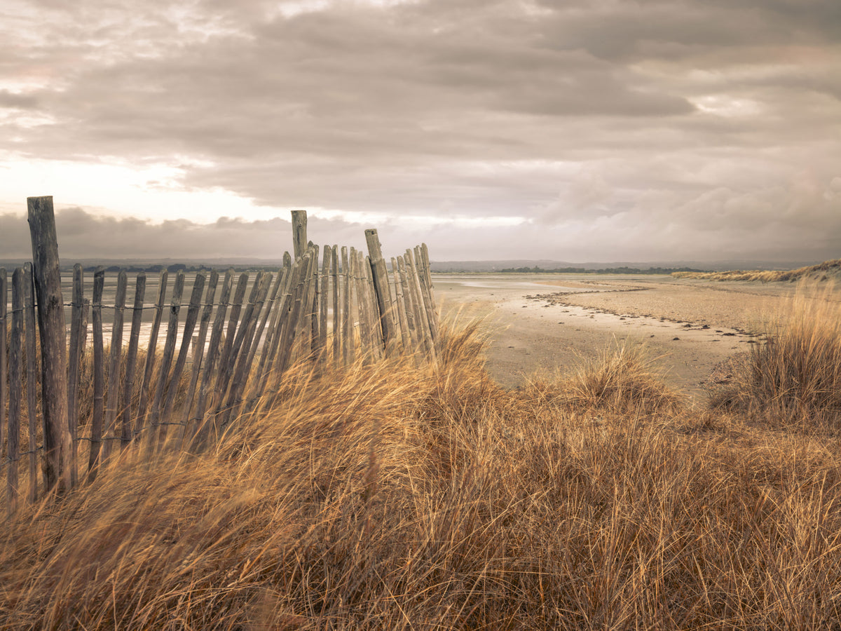 Golden Dunes and Rustic Coastal Fence Wall Mural in your room