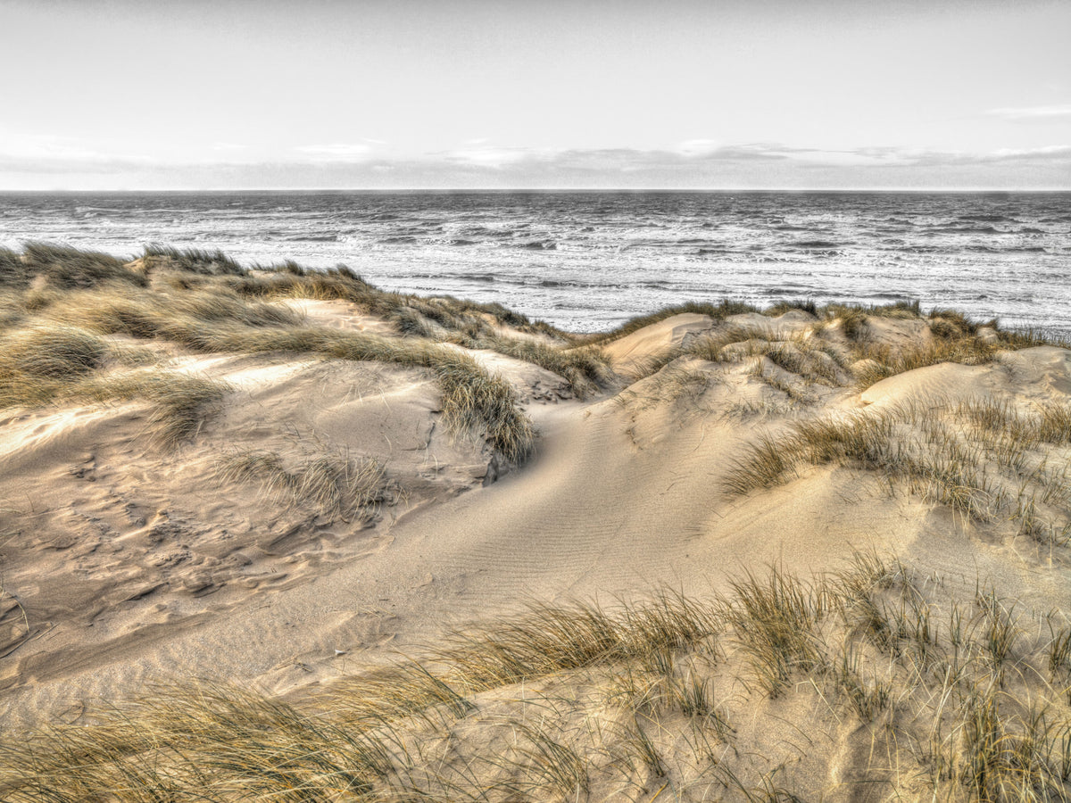Dune Winds and Coastal Tide Wall Mural in your room